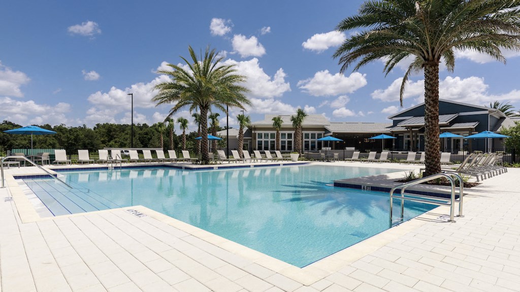 Pool and aqua deck with towering palm trees