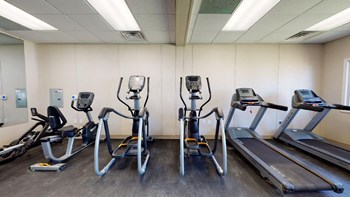Modern fitness center Teadmills, eliptical trainers, bike, and rowing machine in fitness center at Reserve at Midtown Apartments in Tallahassee, Florida 32303 - Photo Gallery 6