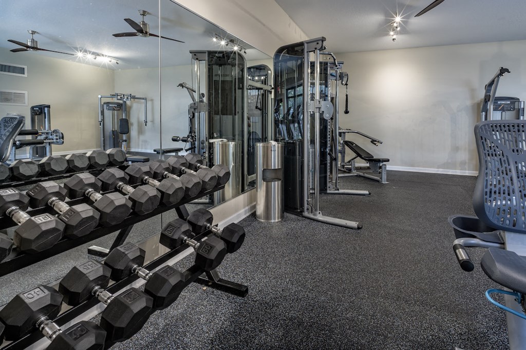 Free weights and weight machines in fitness center at Terraces at Clearwater Beach, Clearwater, FL