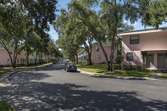 Tree-lined street with pastel colored apartment buildings Tree-lined street with pastel colored apartment buildings at Terraces at Clearwater Beach, Clearwater, FL, 33756 - Photo Gallery