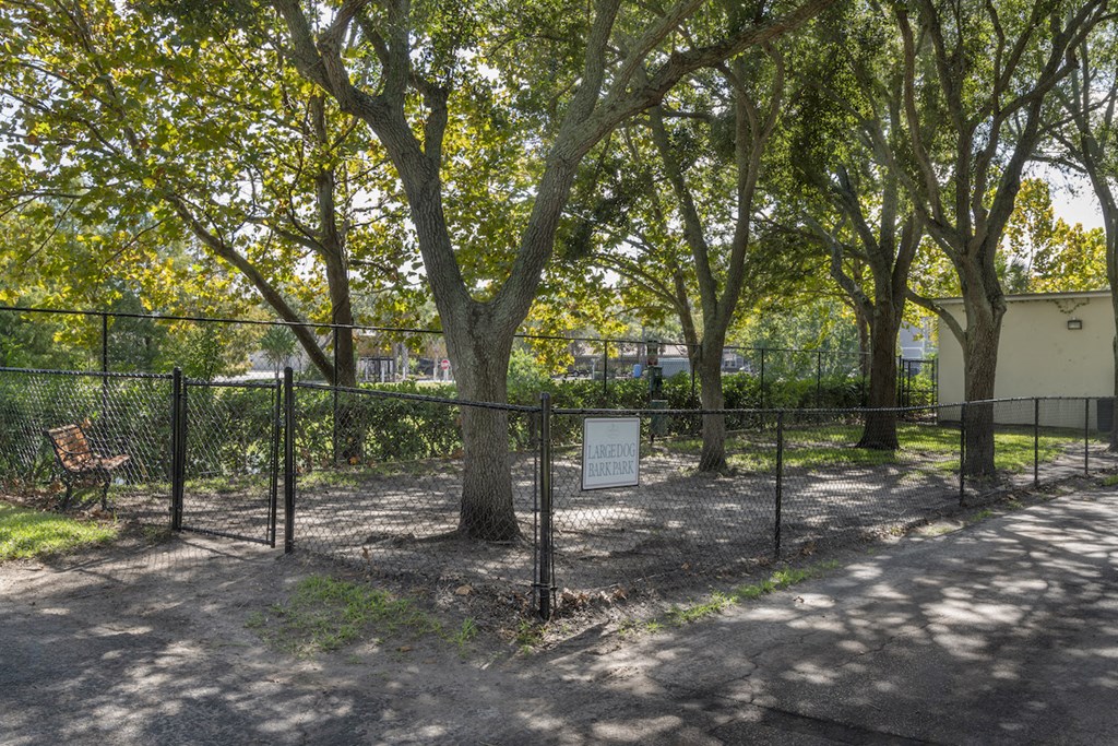 Large fenced dog park at Terraces at Clearwater Beach, Florida
