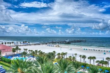 The ocean and shore surrounded by palm trees at Clearwater Beach, FL