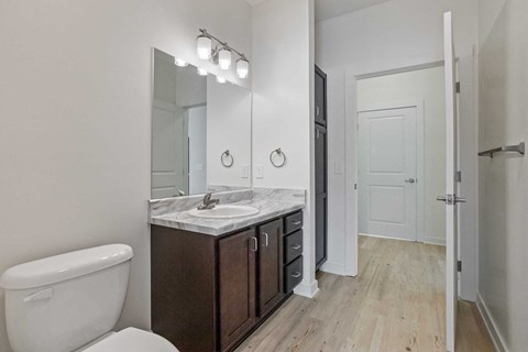 a bathroom with a sink and a toilet and a mirror