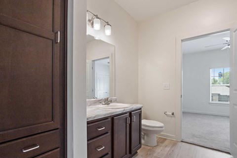 a bathroom with a sink and a toilet and a mirror