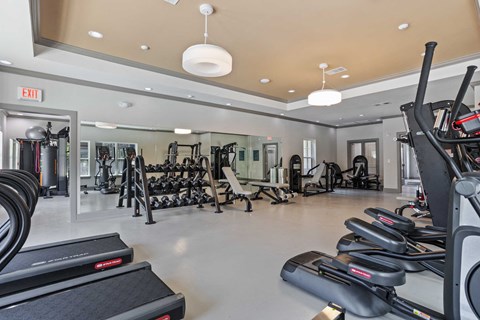 a gym with treadmills and other exercise equipment