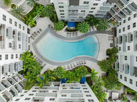 A swimming pool surrounded by palm trees and buildings.