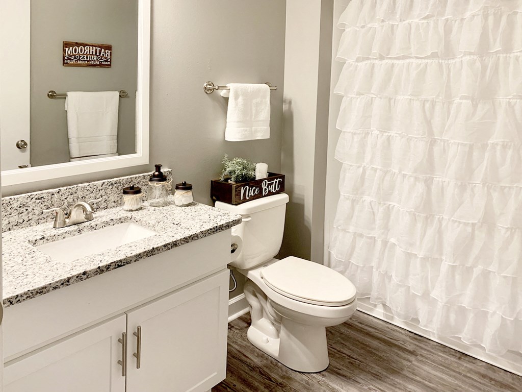 bathroom with granite countertops, wood-style floor, and updated bathroom fixtures