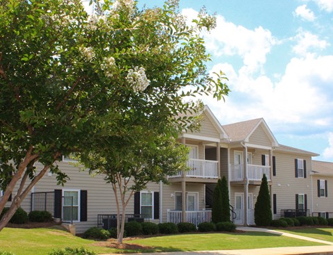 lush crepe myrtles outside Southbrook Apartments