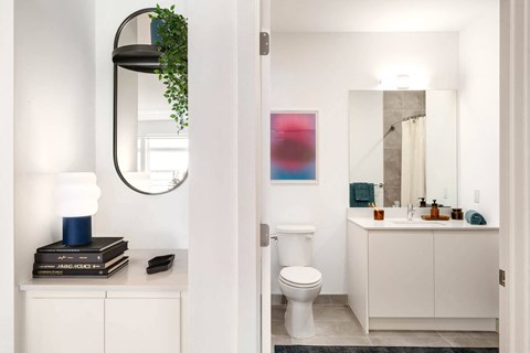 a bathroom with a toilet and a sink and a mirror