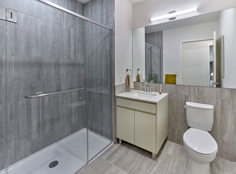 a bathroom with a shower toilet and a sink