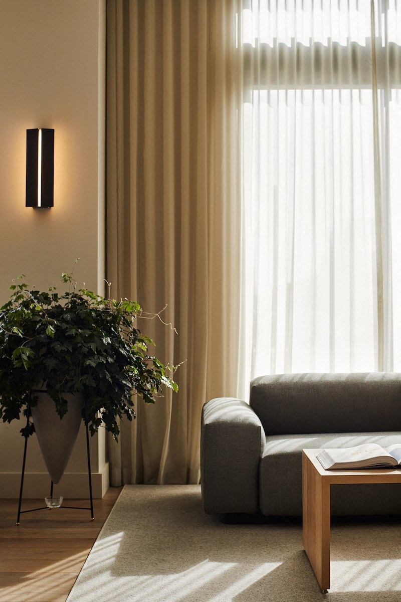 a living room with a couch and a potted plant