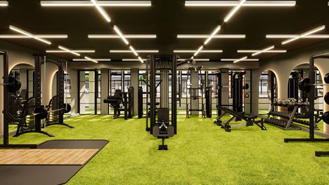 a gym with weights and other exercise equipment on a green floor