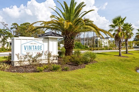 a sign for the village at vineyard in front of palm trees