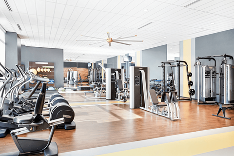 A gym with a variety of equipment including treadmills, weights, and a fan.