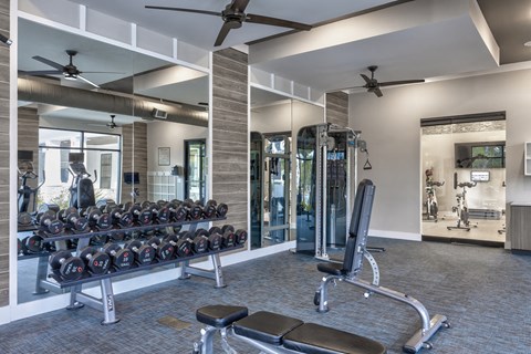 a view of a gym with weights and a mirror