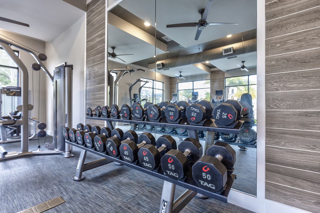 a fitness room with dumbbells and mirrors at the enclave at woodbridge apartments
