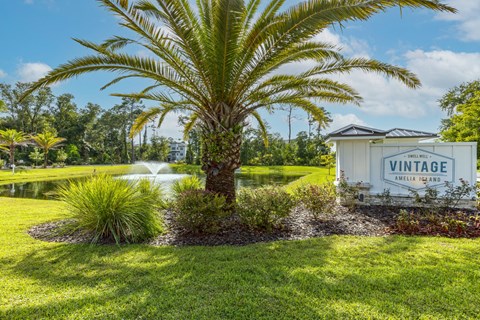 a palm tree in front of a water fountain