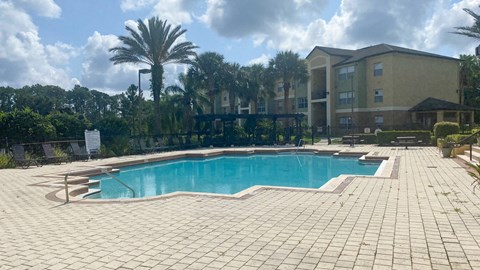 Swimming pool with lounge seating surrounded by palm trees