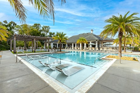 the pool at the club with palm trees