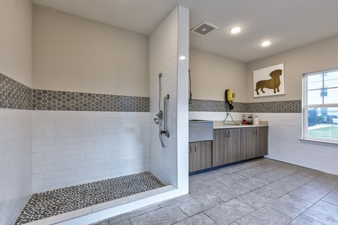 a bathroom with a shower and a sink and a window