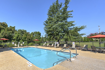 A large swimming pool surrounded by trees and lounge chairs at Fox Hollow Apartment Homes, High Point, North Carolina