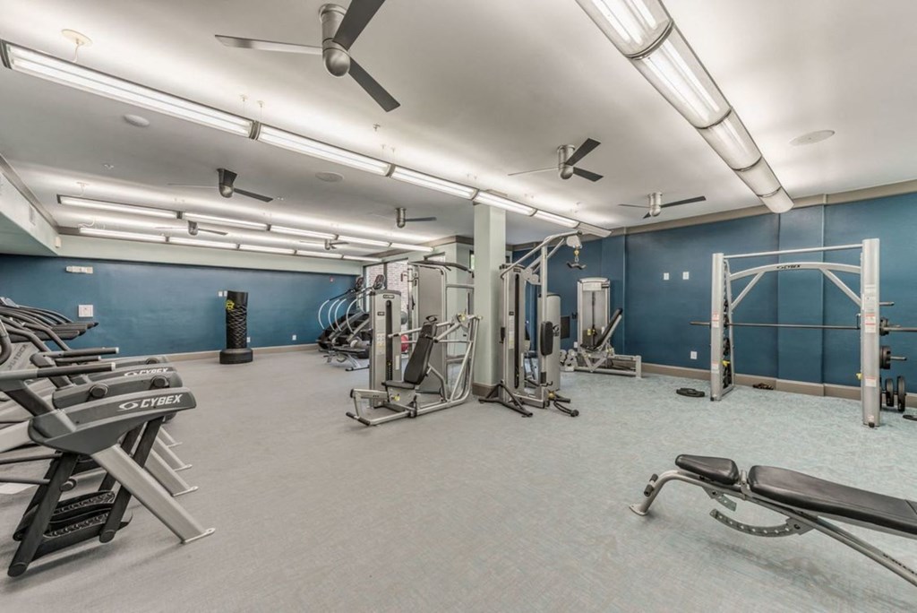 a gym with different types of equipment
