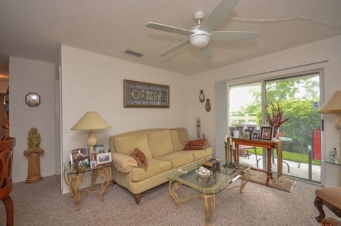 Decorated Living Room With Natural Light at River Park Place Apartments, Florida
