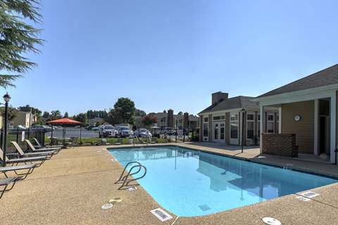 A pool with a blue tiled edge and a white line painted on the ground.