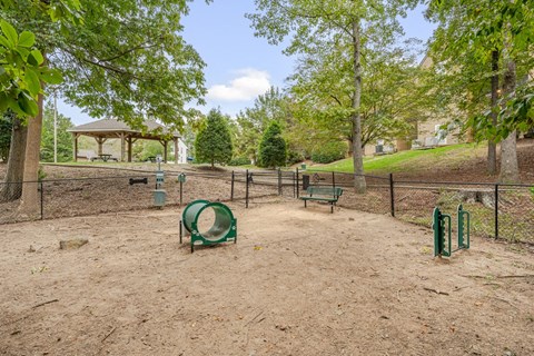 A dog park with a green slide and a brown dirt ground.