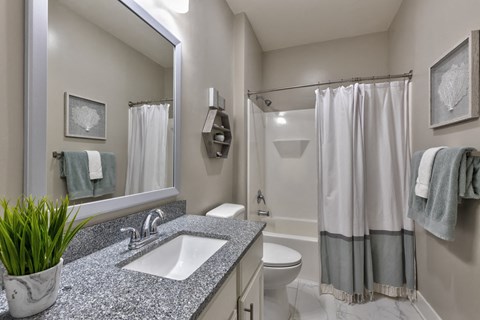 a bathroom with a sink and a toilet and a mirror