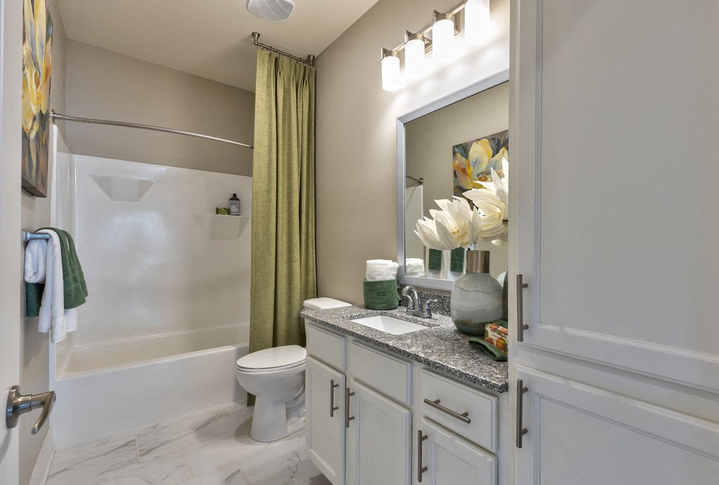 a bathroom with a shower toilet and sink and a mirror