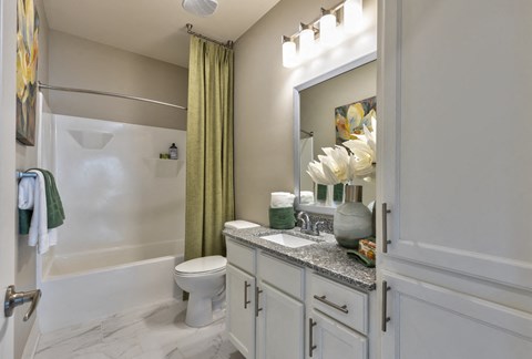 a bathroom with a shower toilet and sink and a mirror
