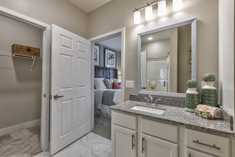 a bathroom with a sink and a mirror and a closet
