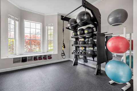A gym room with a rack of weights and exercise balls.