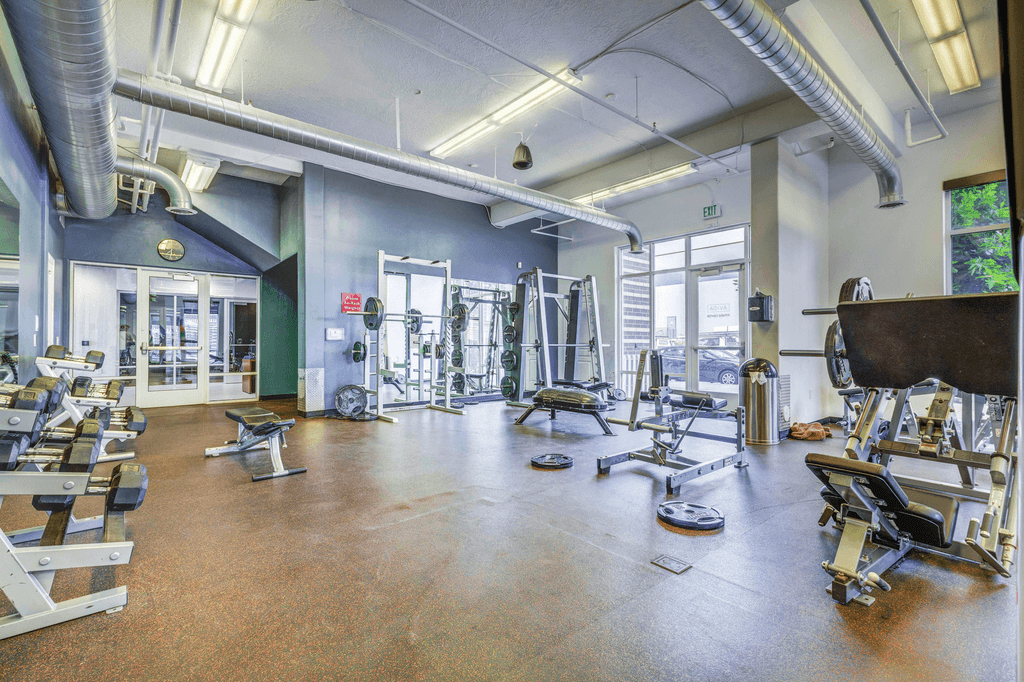 Fully equipped fitness center with strength and cardio machines and free weights with large windows