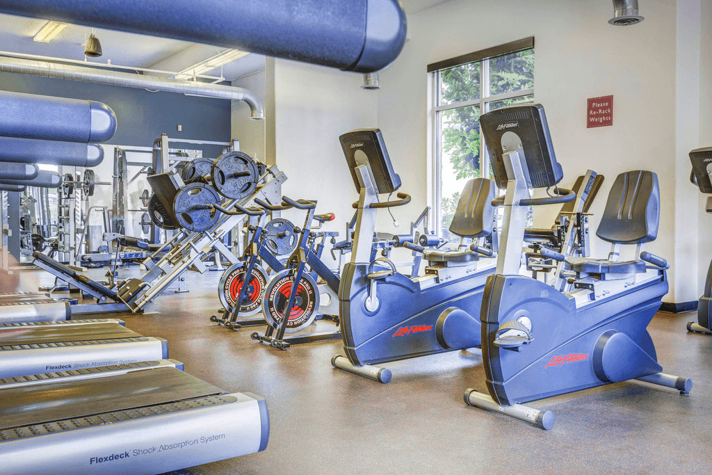 Fully equipped fitness center with strength and cardio machines and free weights with large windows