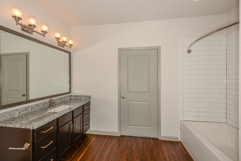 a bathroom with a sink and a mirror and a shower