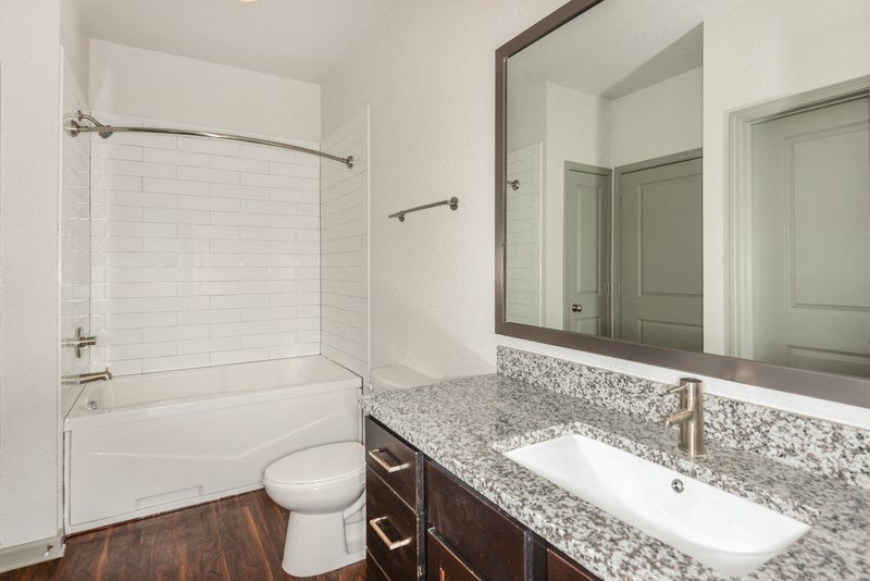 a bathroom with a sink and a mirror and a shower and a toilet