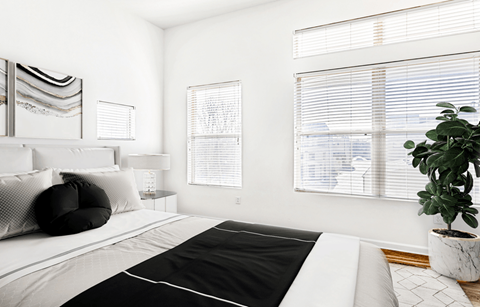 A black and white bedroom with a large bed and a potted plant.