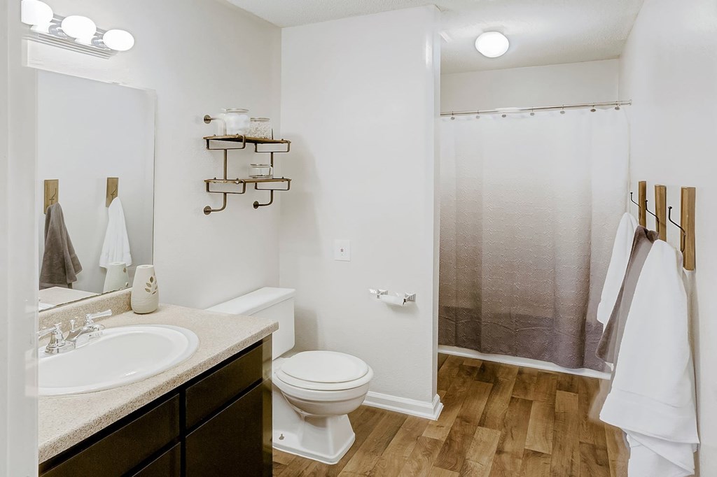 Luxurious Bathroom at Brandemere Apartment Homes, North Carolina