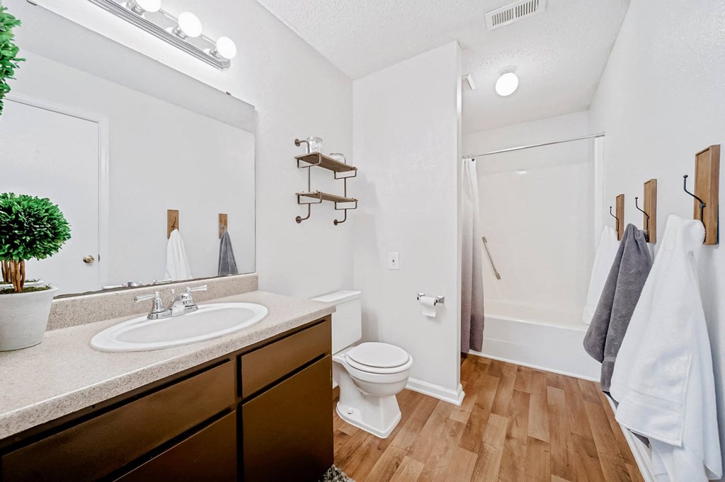 Modern Bathroom at Brandemere Apartment Homes, Winston Salem, NC
