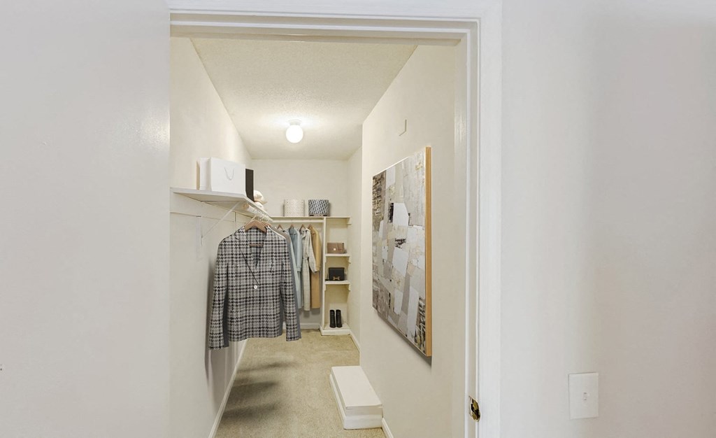 Large Closet at Brandemere Apartment Homes, Winston Salem, North Carolina