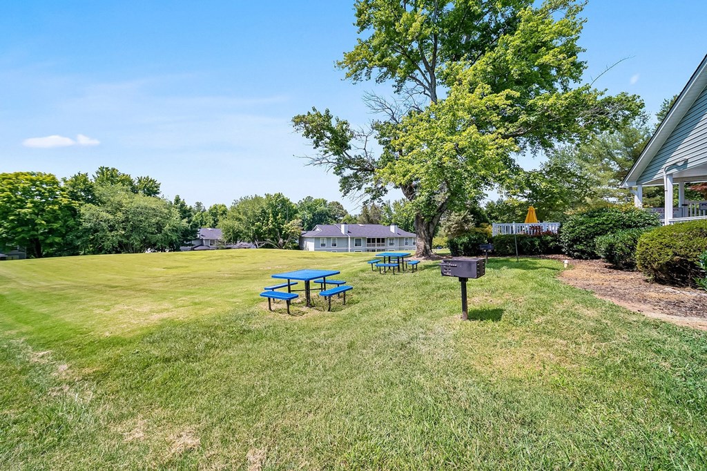 Picnic Table at Brandemere Apartment Homes, Winston Salem