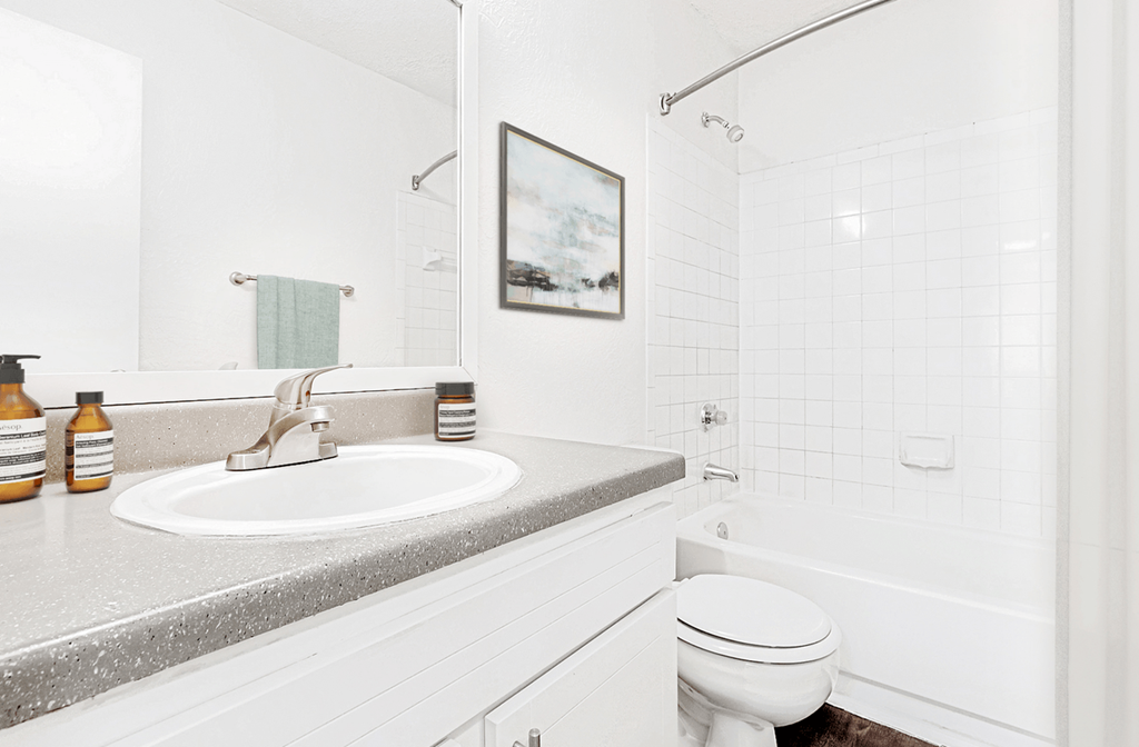 Modern Bathroom at Bridges at Mallard Creek Apartment Homes, North Carolina, 28269