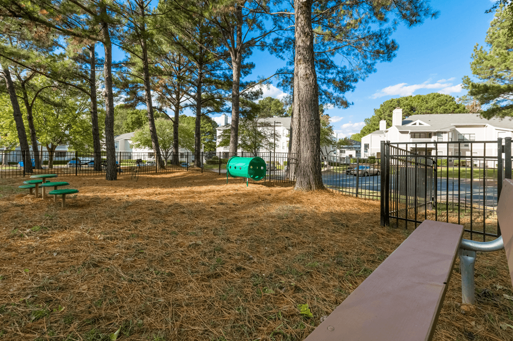Picnic Table at Bridges at Mallard Creek Apartment Homes, North Carolina, 28269