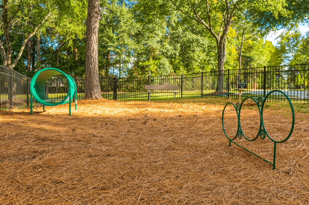 Play Area at Bridges at Mallard Creek Apartment Homes, Charlotte
