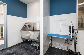 washing and grooming stations in the dog spa