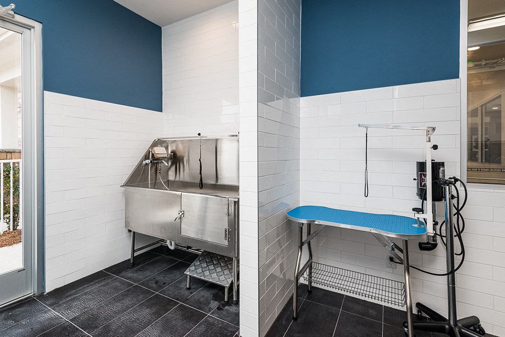 washing and grooming stations in the dog spa