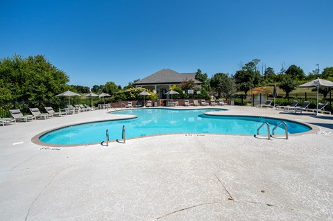 A large outdoor swimming pool surrounded by lounge chairs and umbrellas.