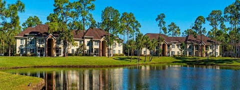 Waterfront View with Palm Trees and Building Exteriors